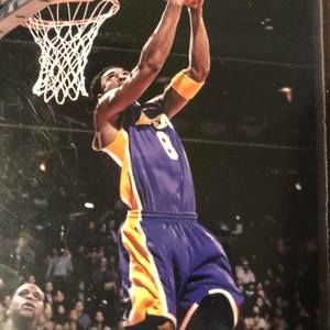 Meet your Posher, Paulette